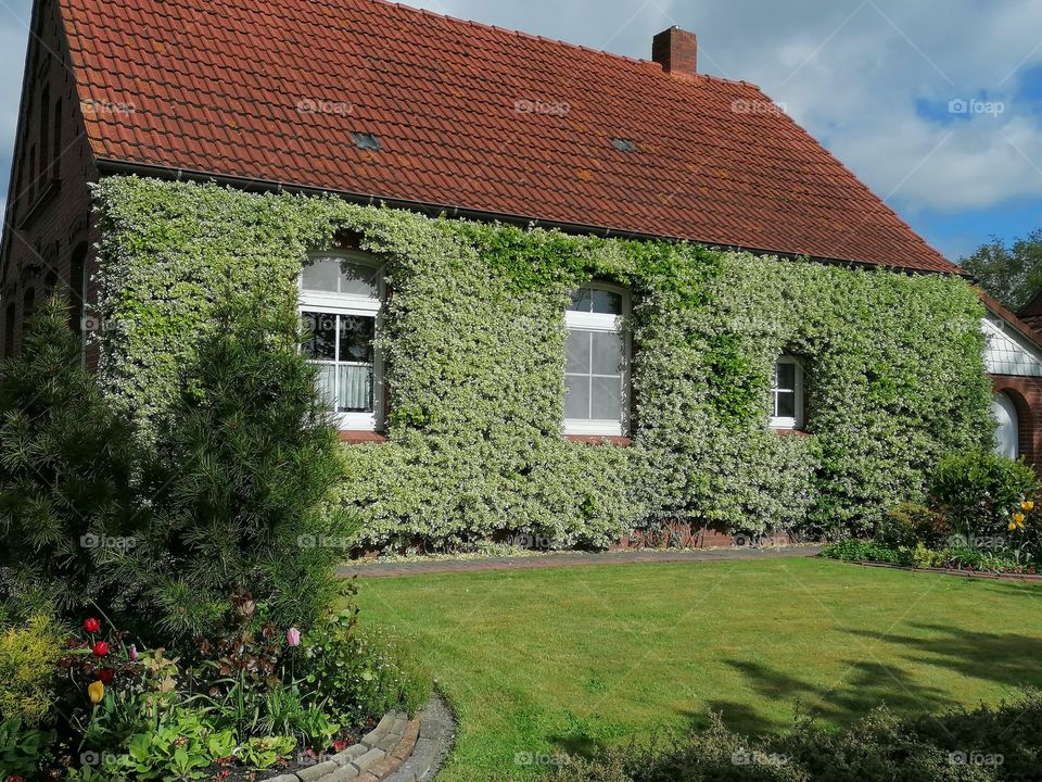 Hard work for the owner