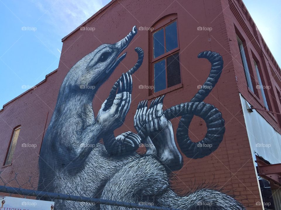 Mole Mural