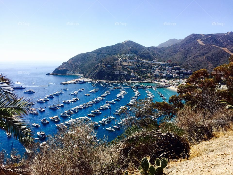 High angle view of harbor