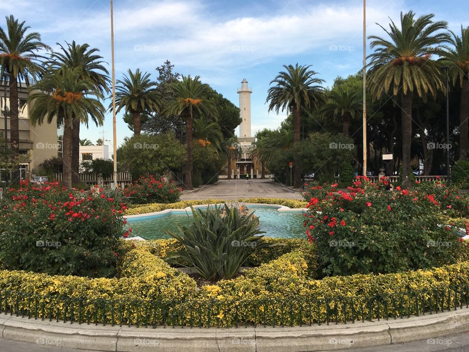 No Person, Garden, Palm, Flower, Hotel