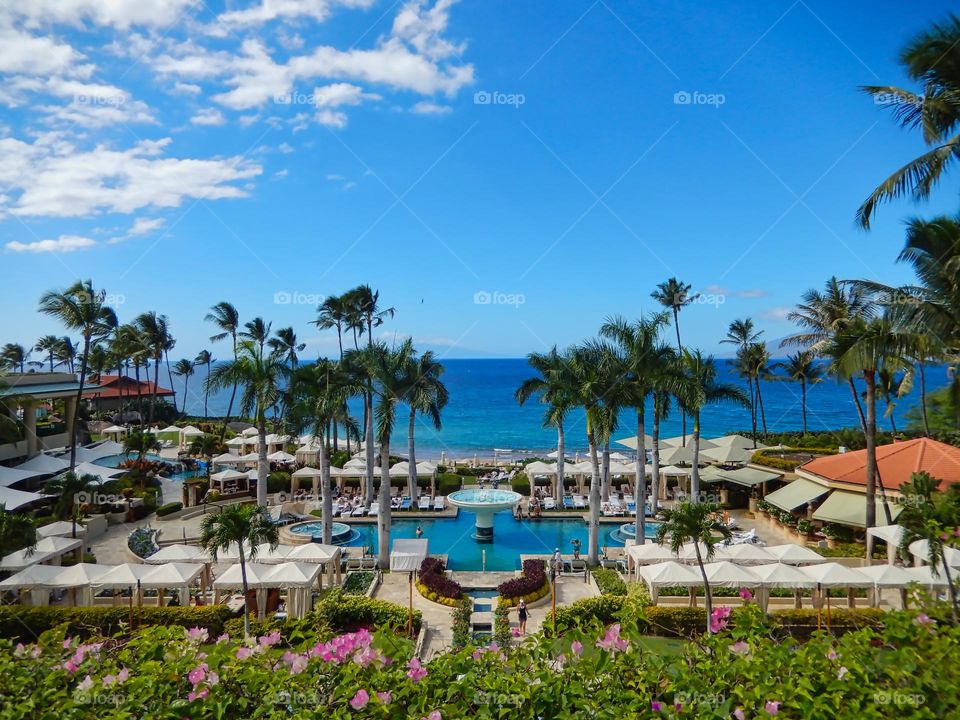 Hawaiian resort