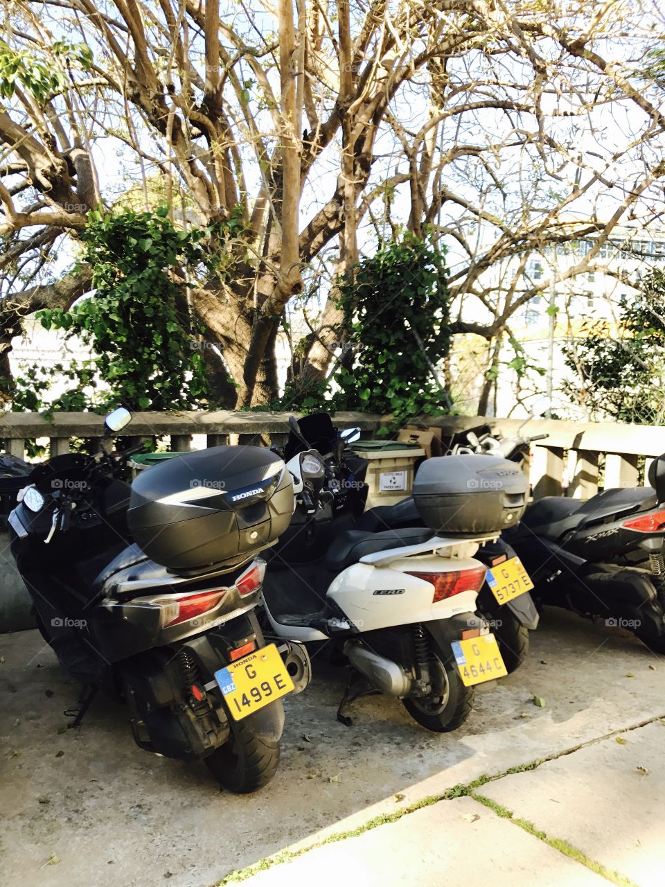 Bikes-motorbike-motorcycle 