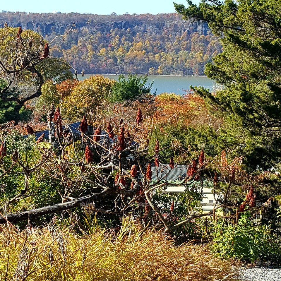 view from the Bronx wave hill estate garden in Riverdale over Hudson River