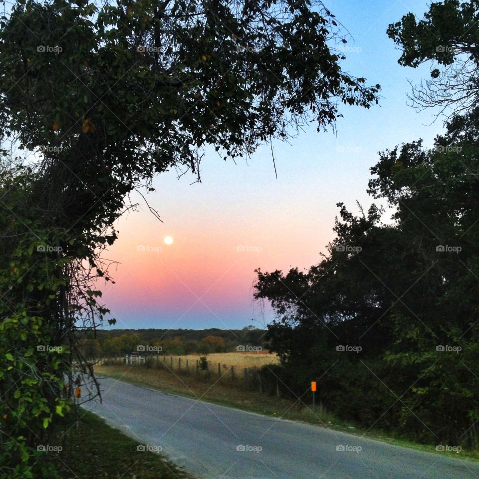 Dawn on a country road through the trees with full moon setting 