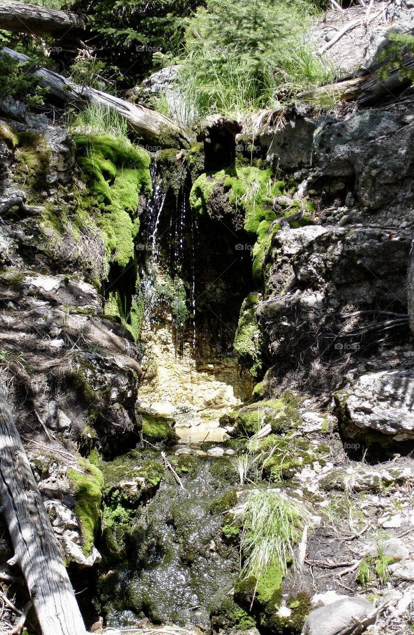 Mossy wet crevice in the mountain side