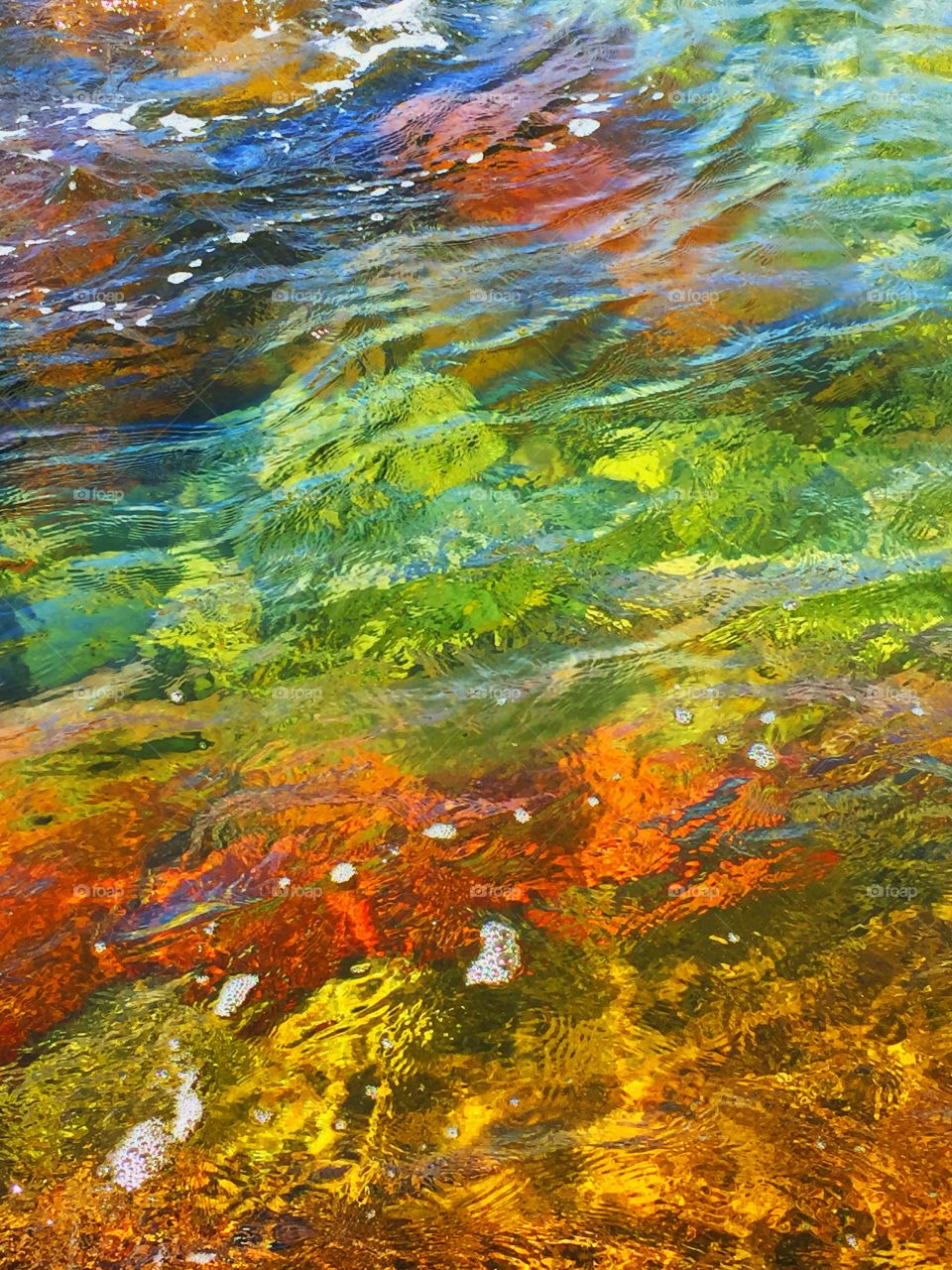 Colors under the water 