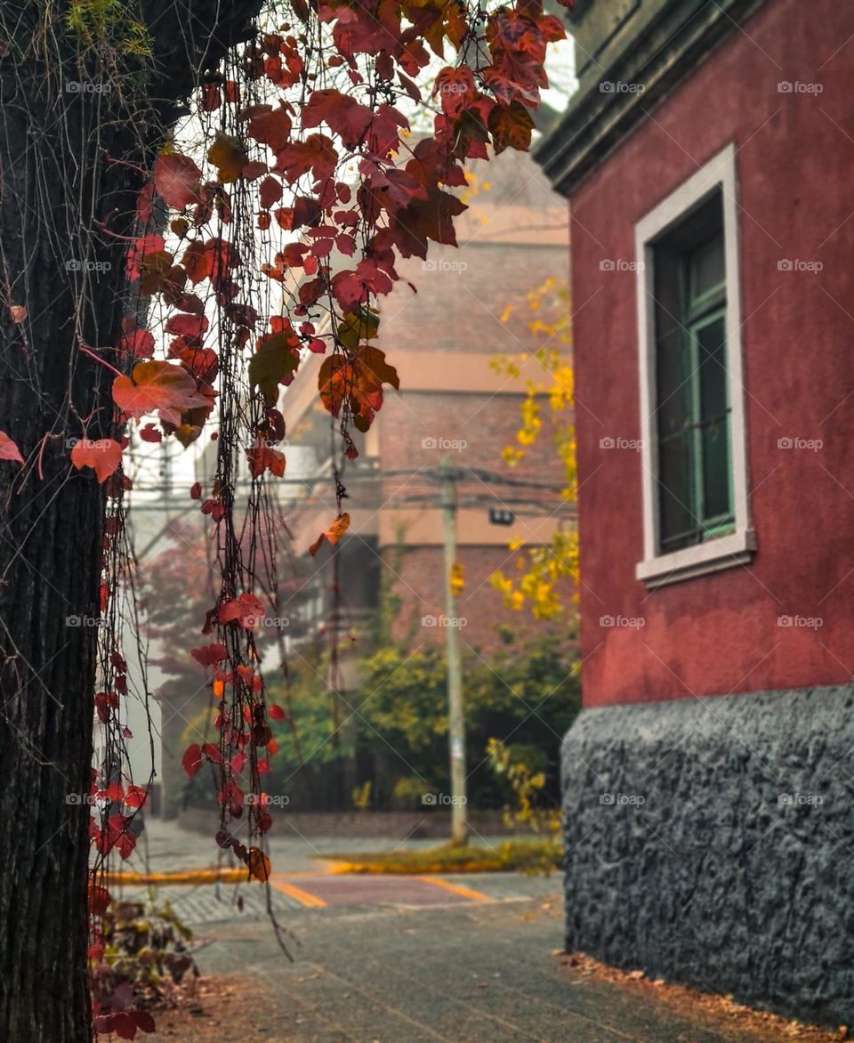 "Autumn shows us how beautiful it is to let things go"