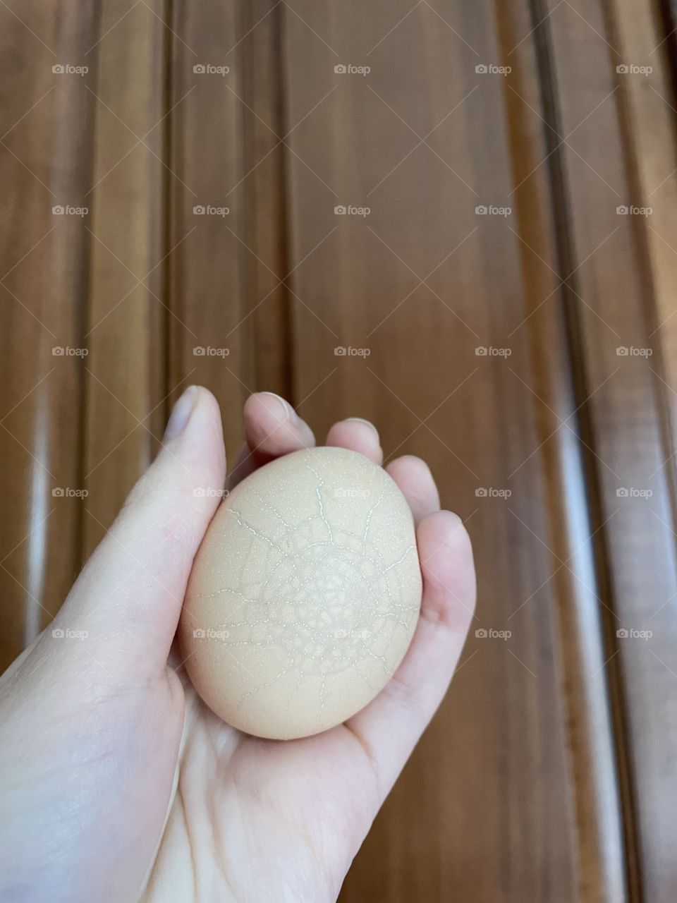 An oddly cracked egg. 
