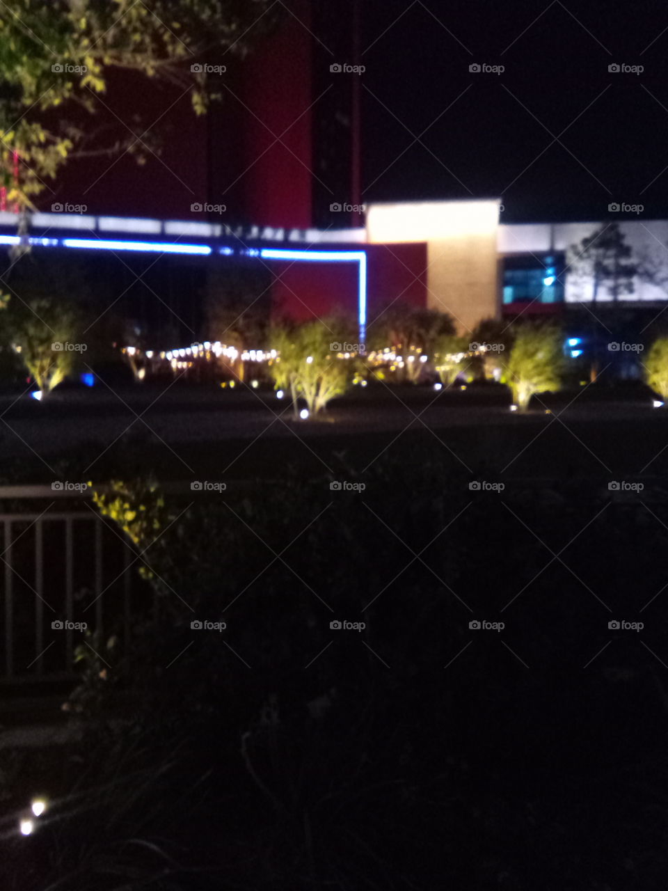 Conrad in love with the landscape and lights