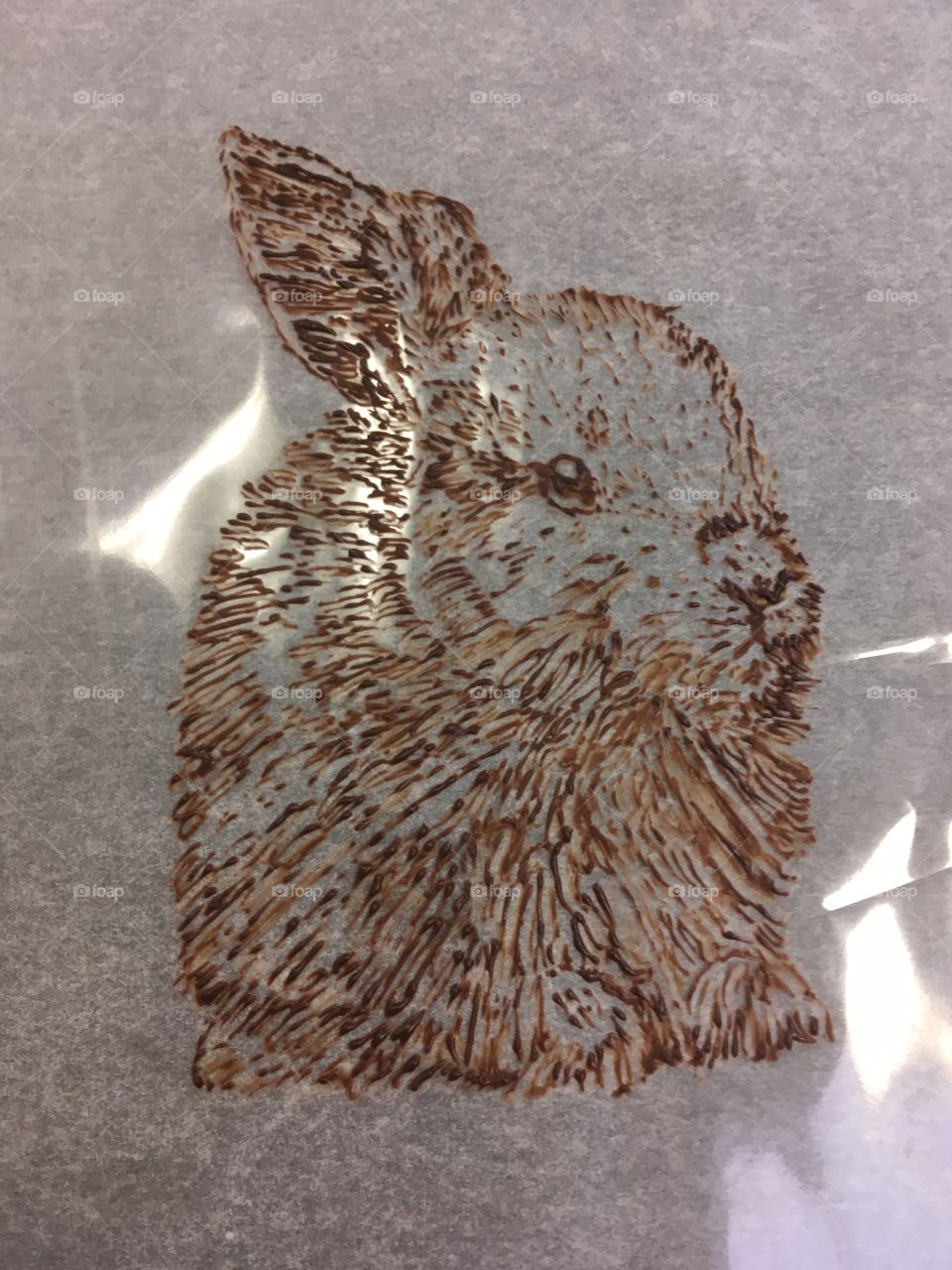 Bunny drawn in chocolate 
