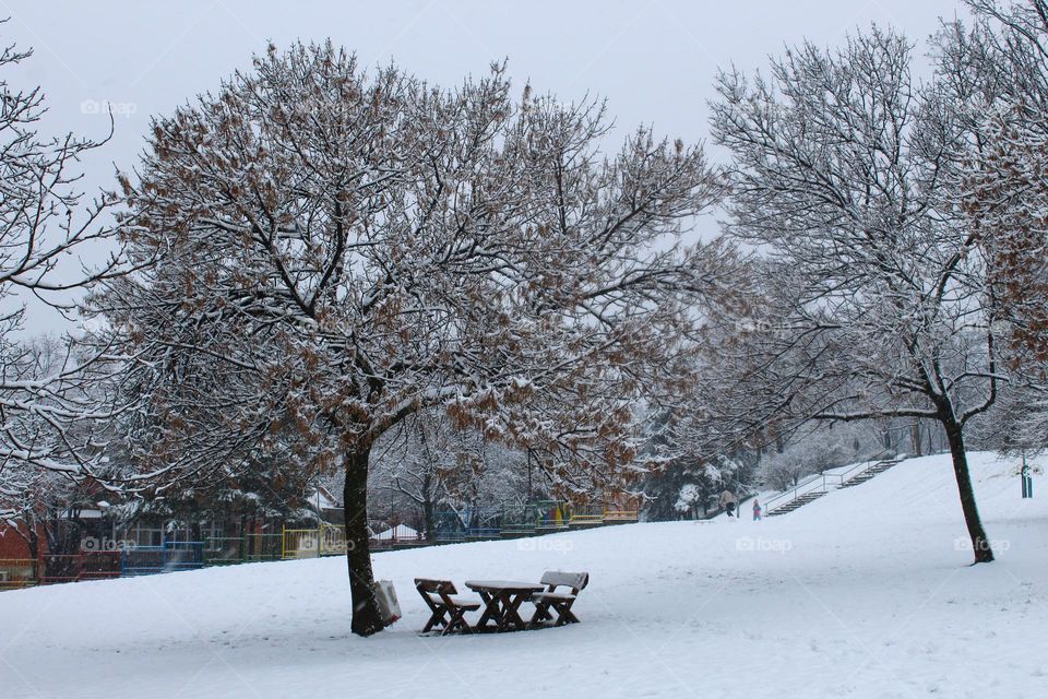 Landscape of a winter idyll in the city.  Public park beaches and trees covered in snow