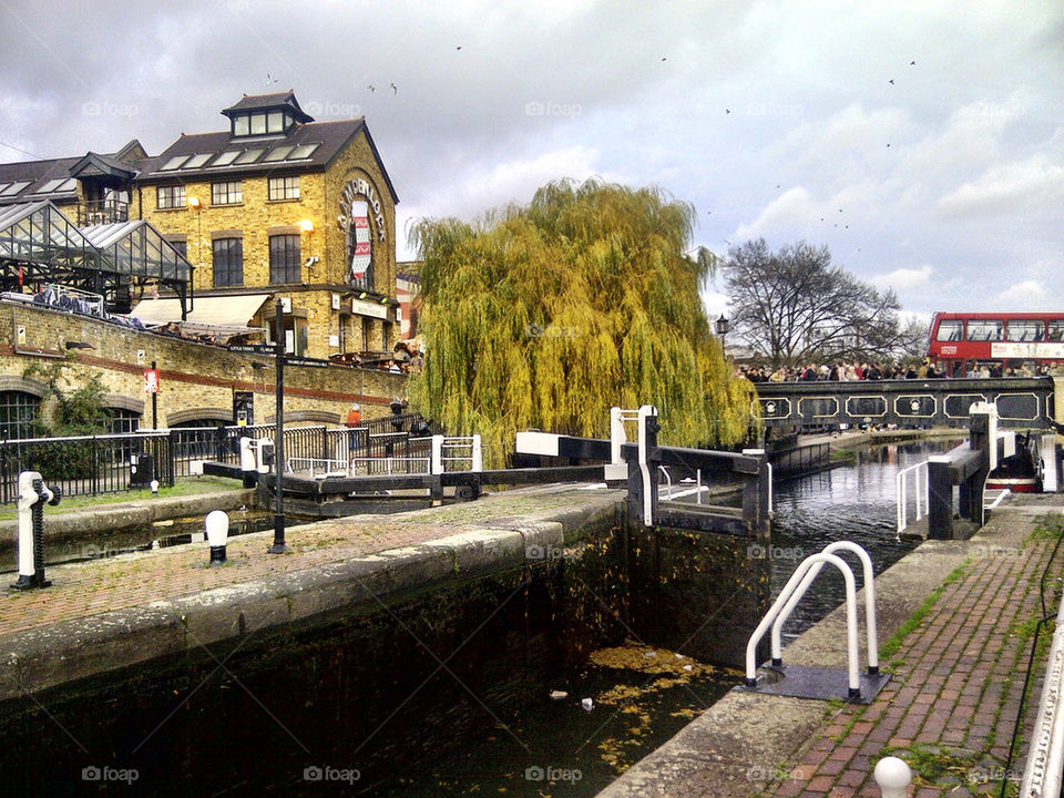 tree london united kingdom trees by llotter