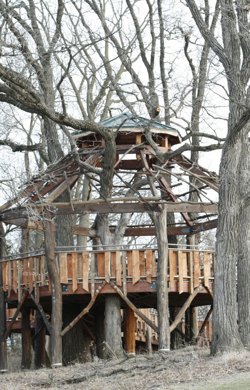 tree house