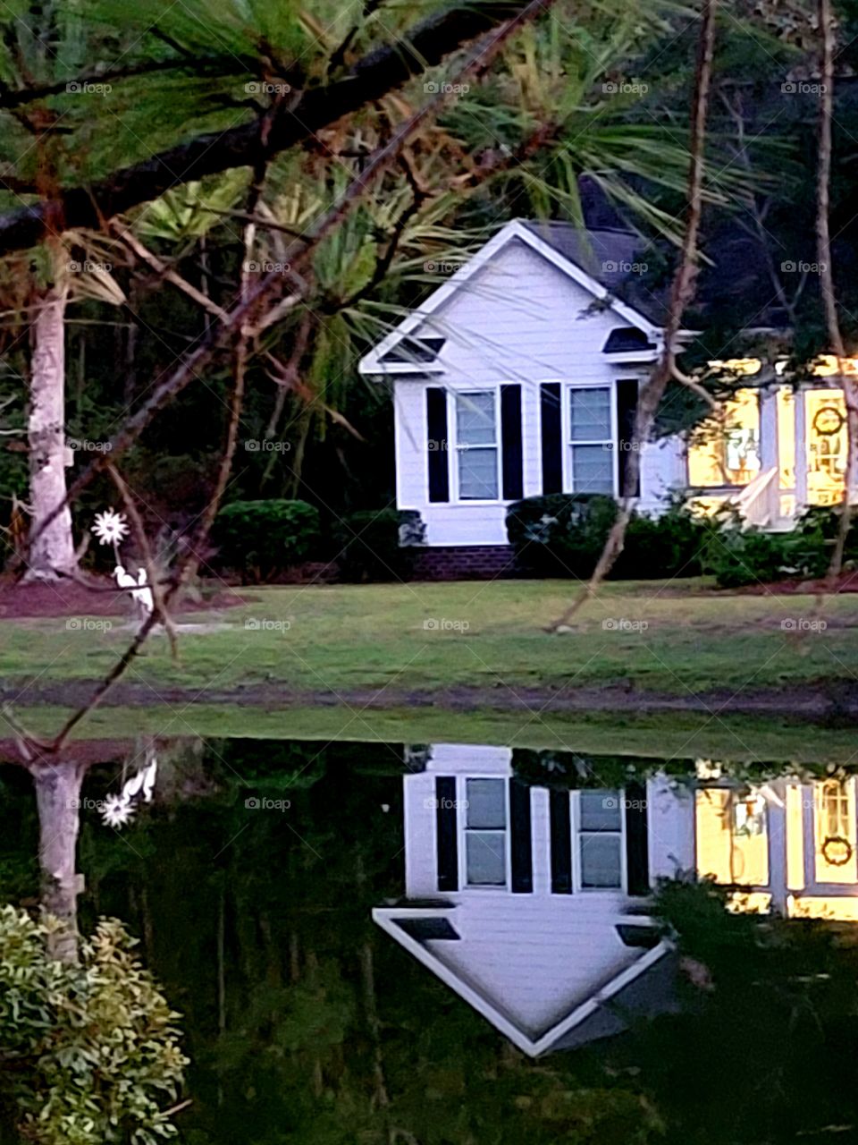 seeing double white house trees reflecting on the water