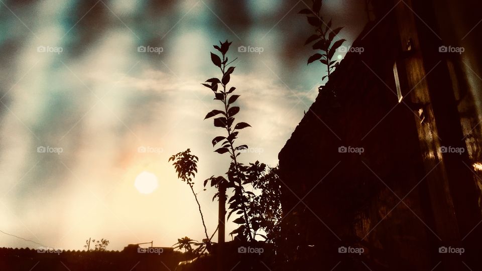 Beautiful start for a beautiful day