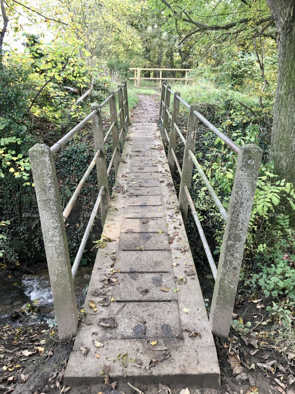 Ulnaby Beck ... little bridge over the beck which leads to the river 