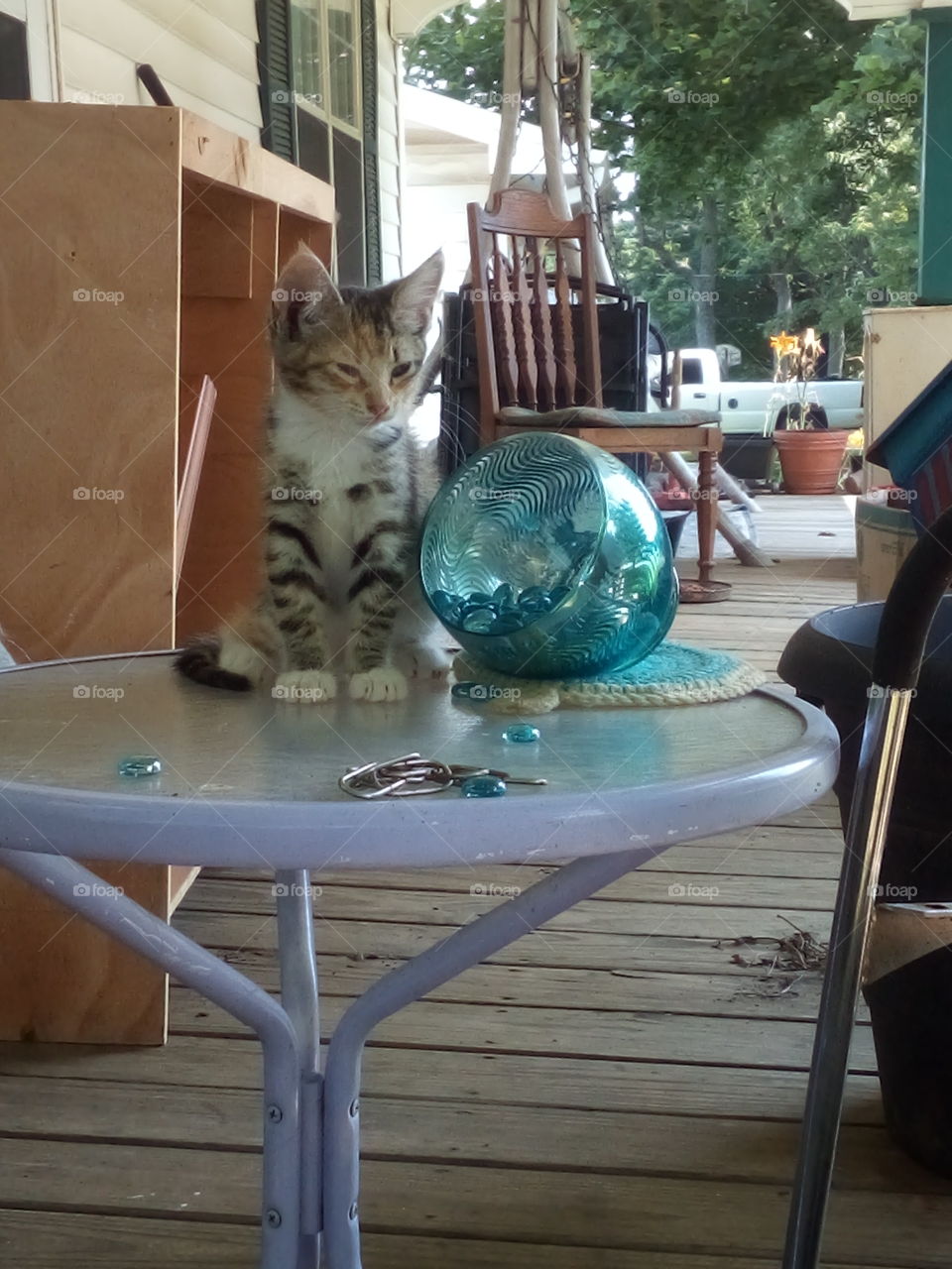 hey who's there? what's the meaning of waking me up from my nap? you better have something for me.