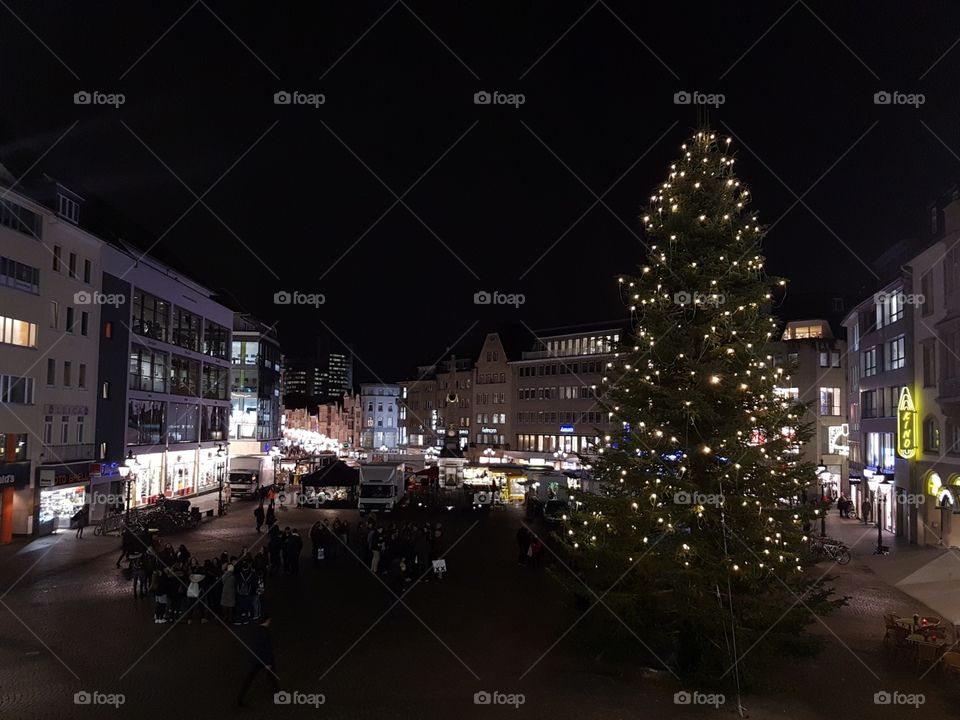 Weihnachtsbaum in Bonn