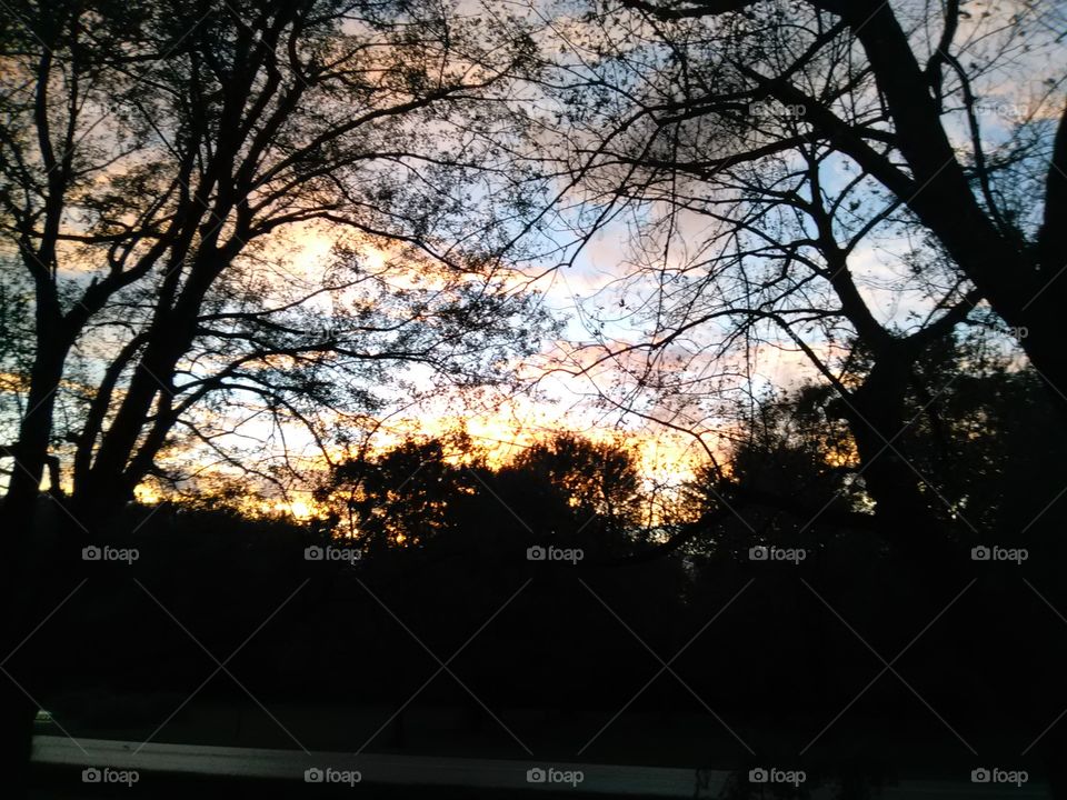 Tree, Landscape, Nature, Fall, Park