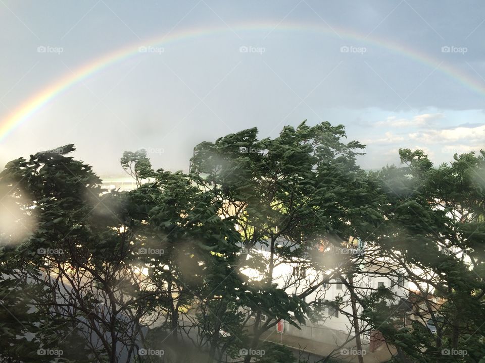 Rainbow,rain,weather,trees,sky,outdoors 