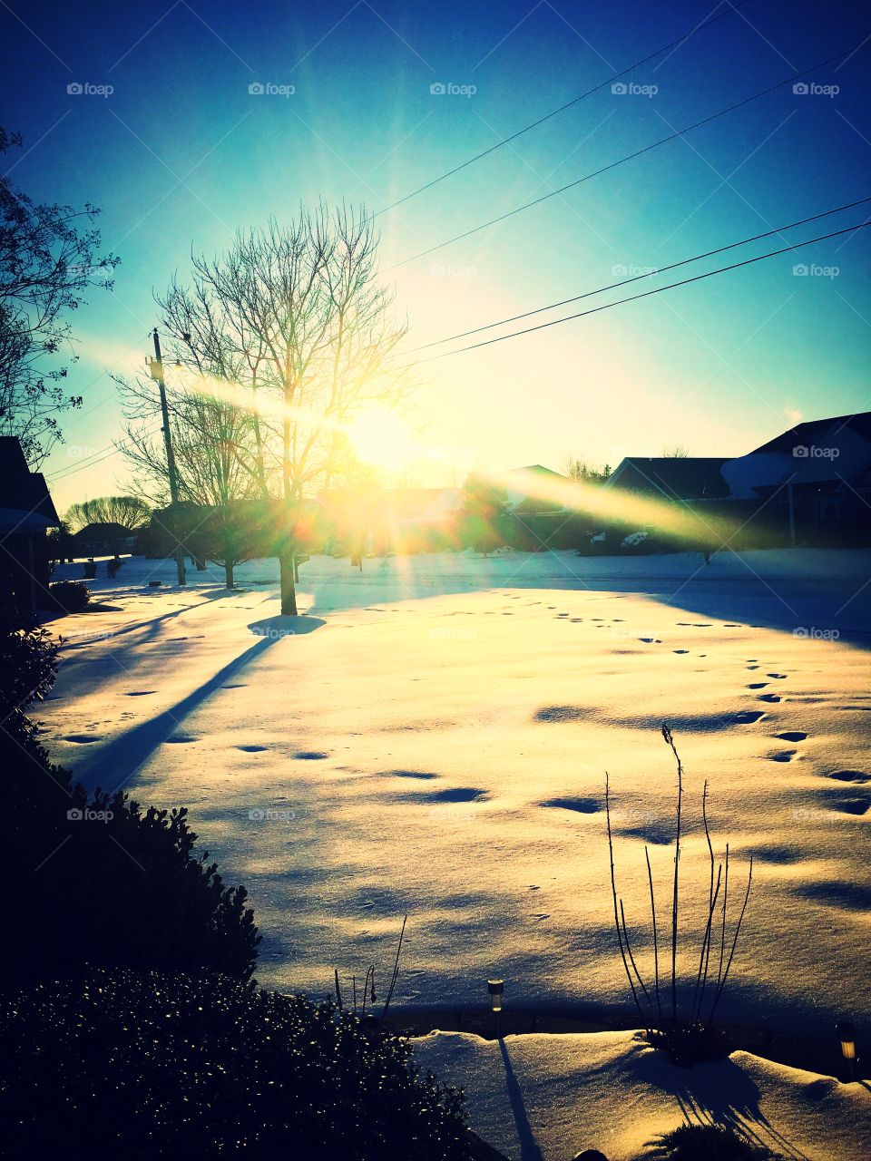 Snowy Sunrise 