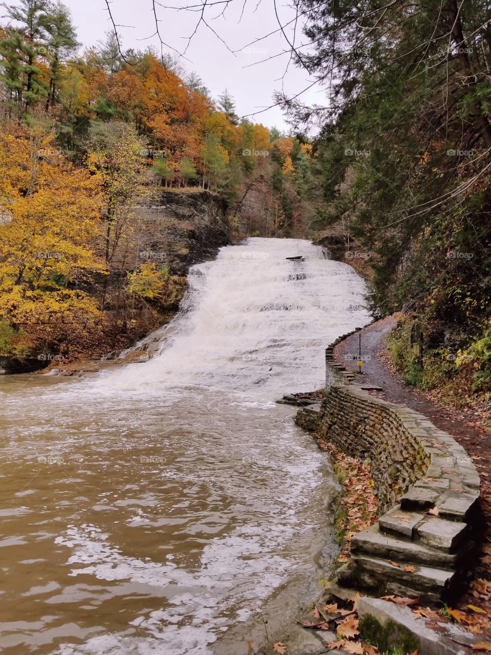 the falls in fall