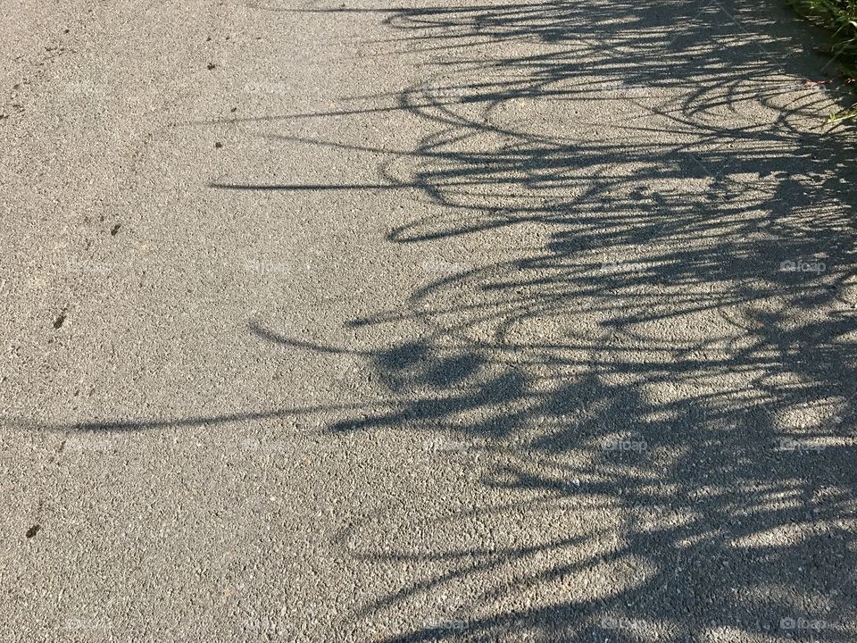 Shadow on the road