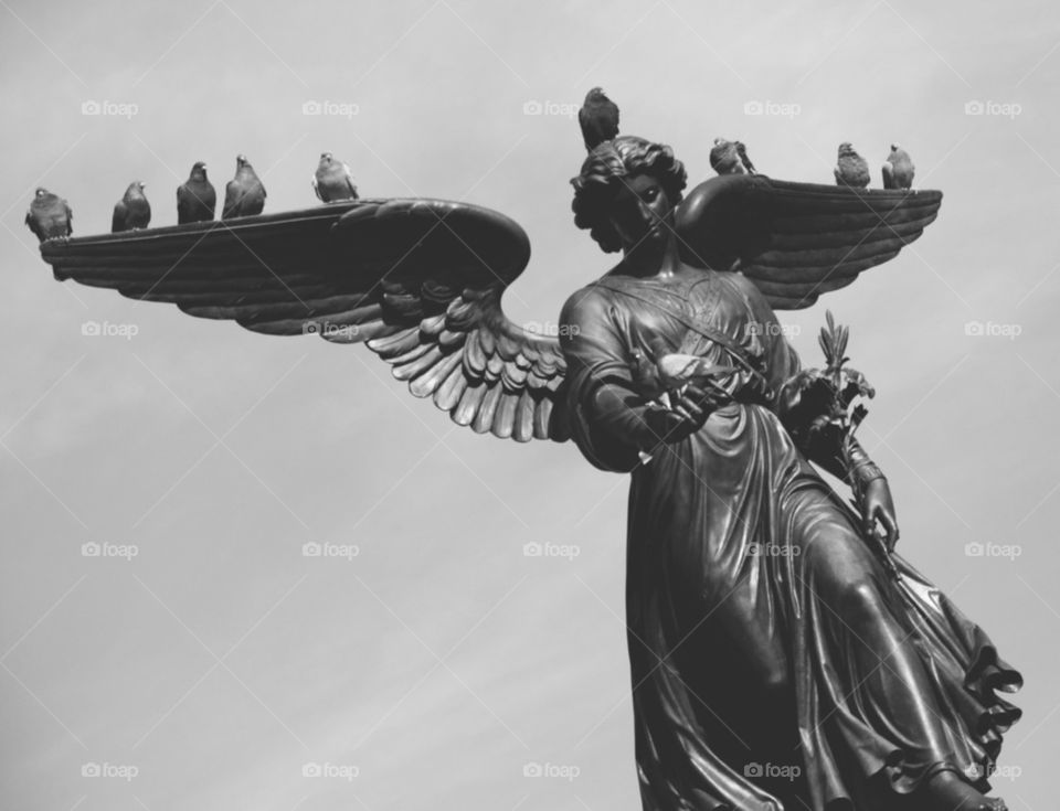 Statue With Birds