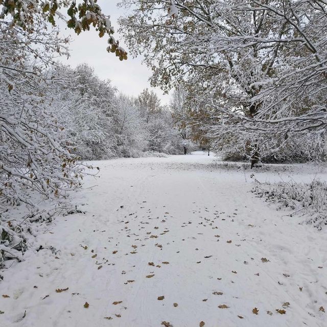 frost