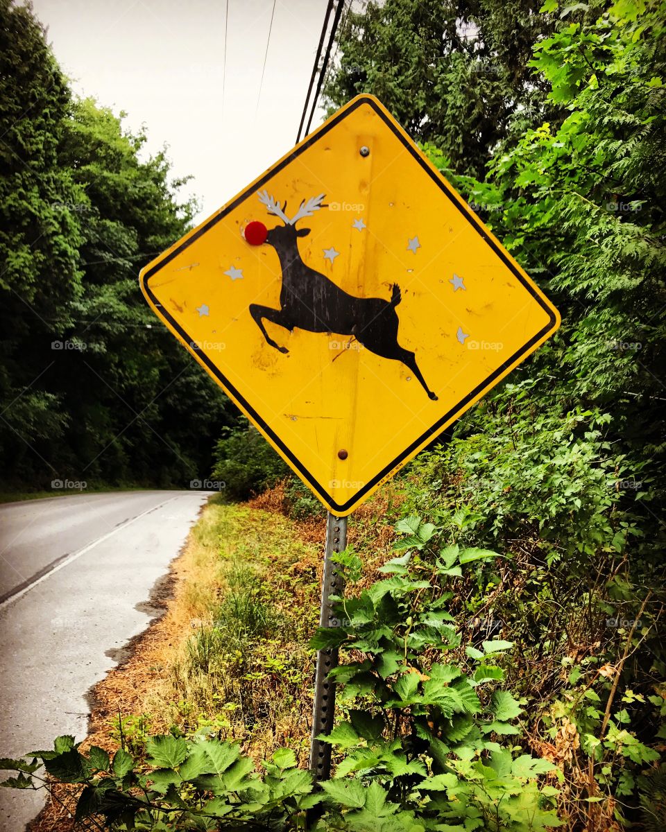 Be careful of the reindeers. Cute road sign. 