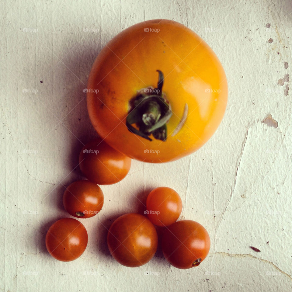 garden red orange tomato by lennyd