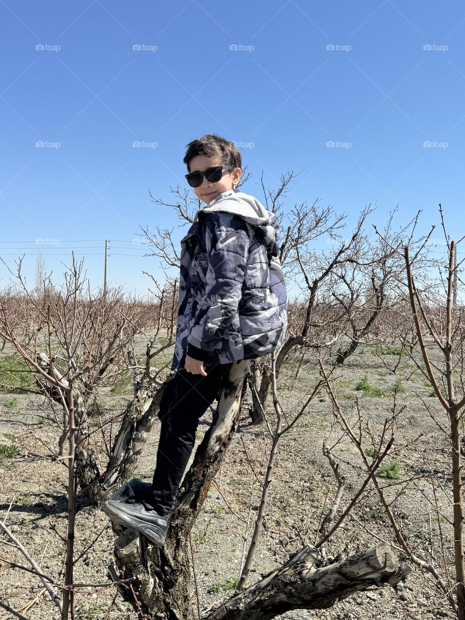 A little boy with sunglasses sitting on a broken tree
