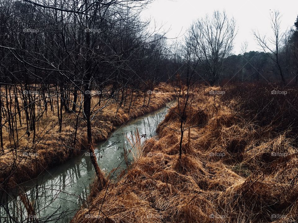 Stream creeps through the marsh on a dreary morning