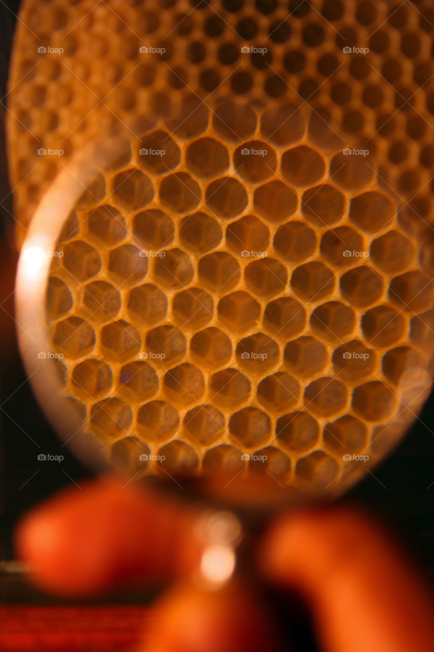 honey comb through lens