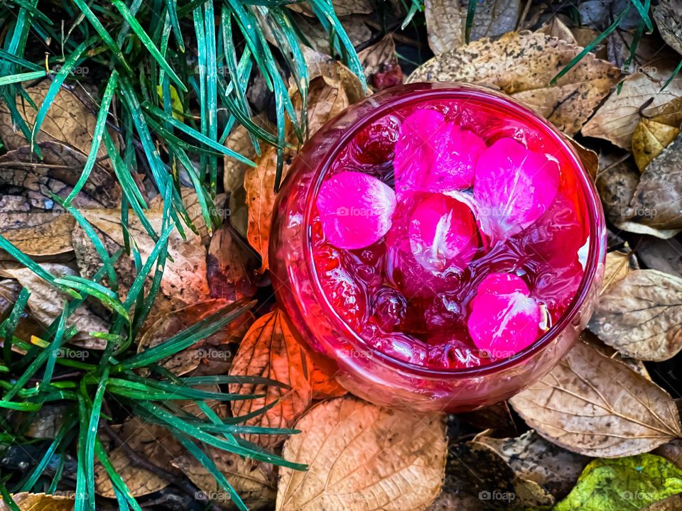 A rose by any other name … 