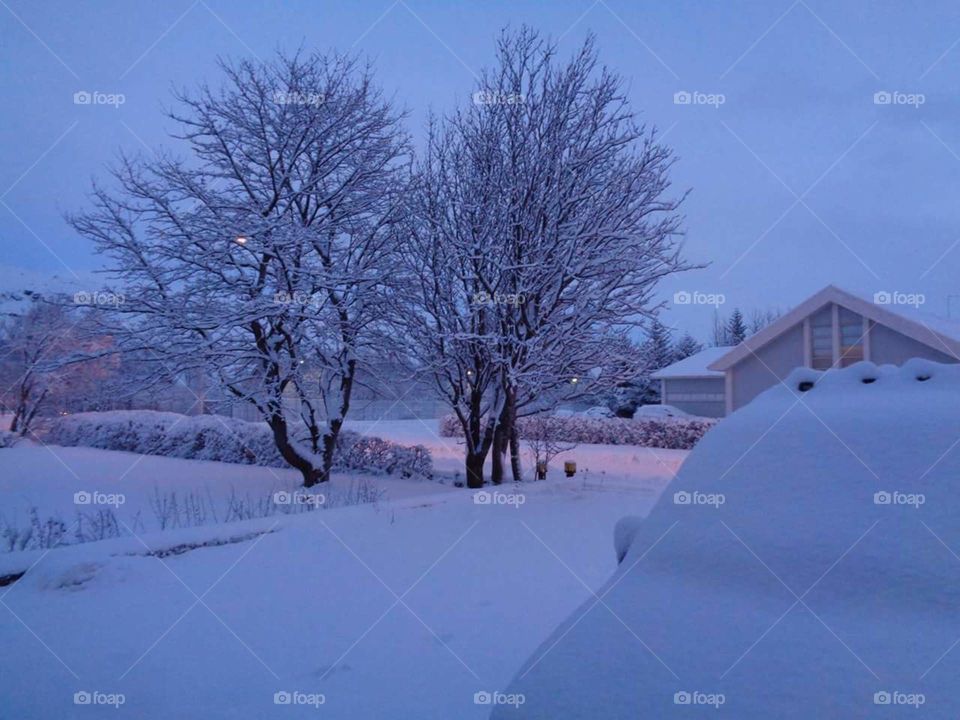 snow in Iceland 2014.