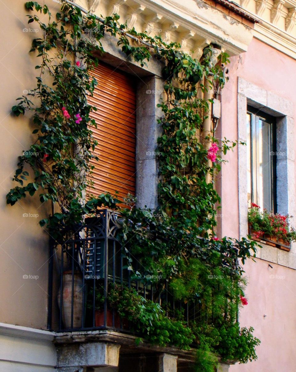 Urban 💚 Balcony 💚 Plants 💚