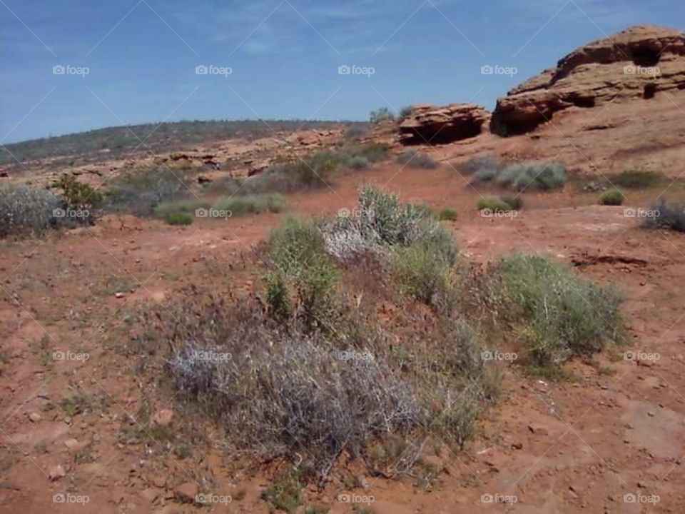 red rocks in Utah