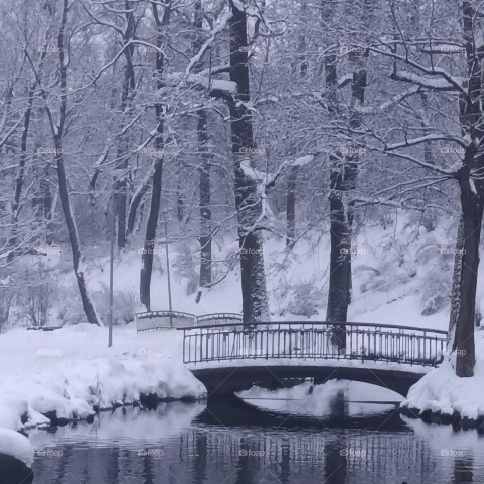 Arkadia park. Bridge