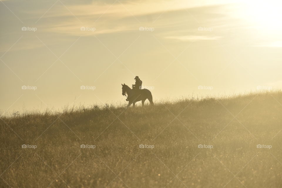 Silhouettes & Shadows V