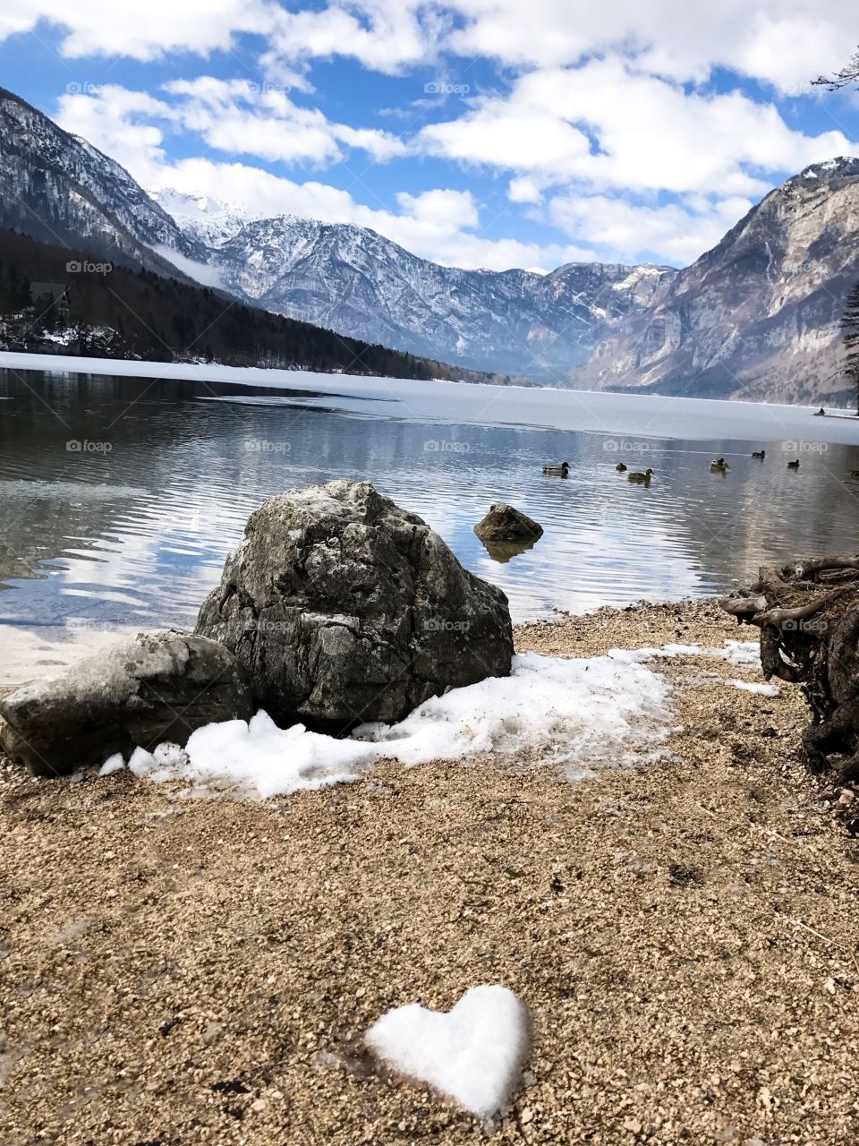 Ducks in lake with mountains in background