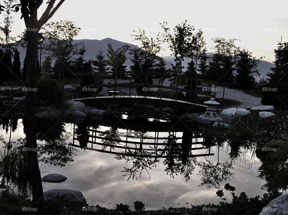 A park in silhouette 