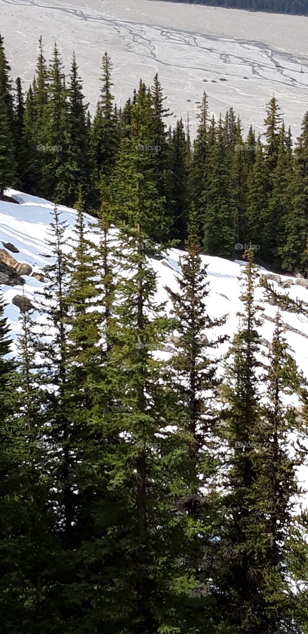 frozen lake in Canada