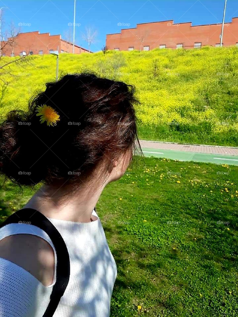 Hillside full of dandelions🌼💛