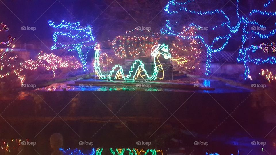 Christmas lights 