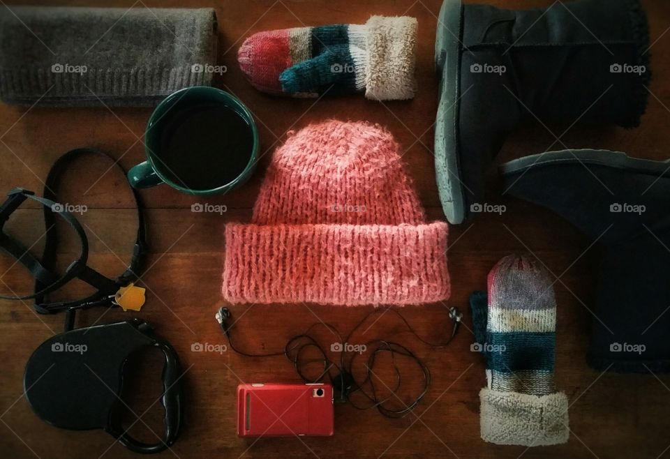 Dog Walking Essentials - Winter is Coming!