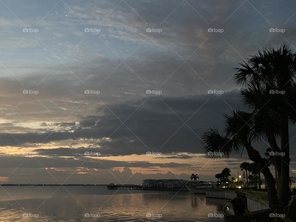 Welcome spring sunshine 