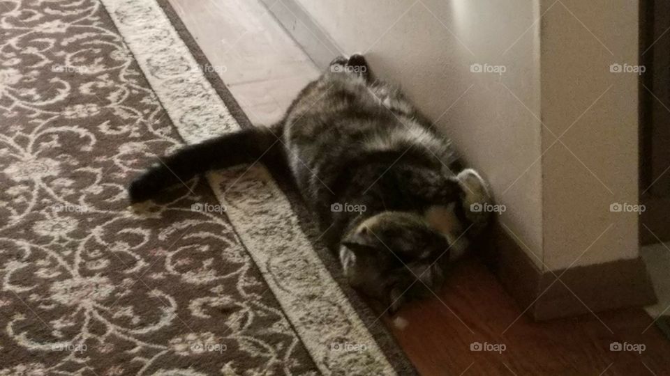 as good of place as any to take a nap