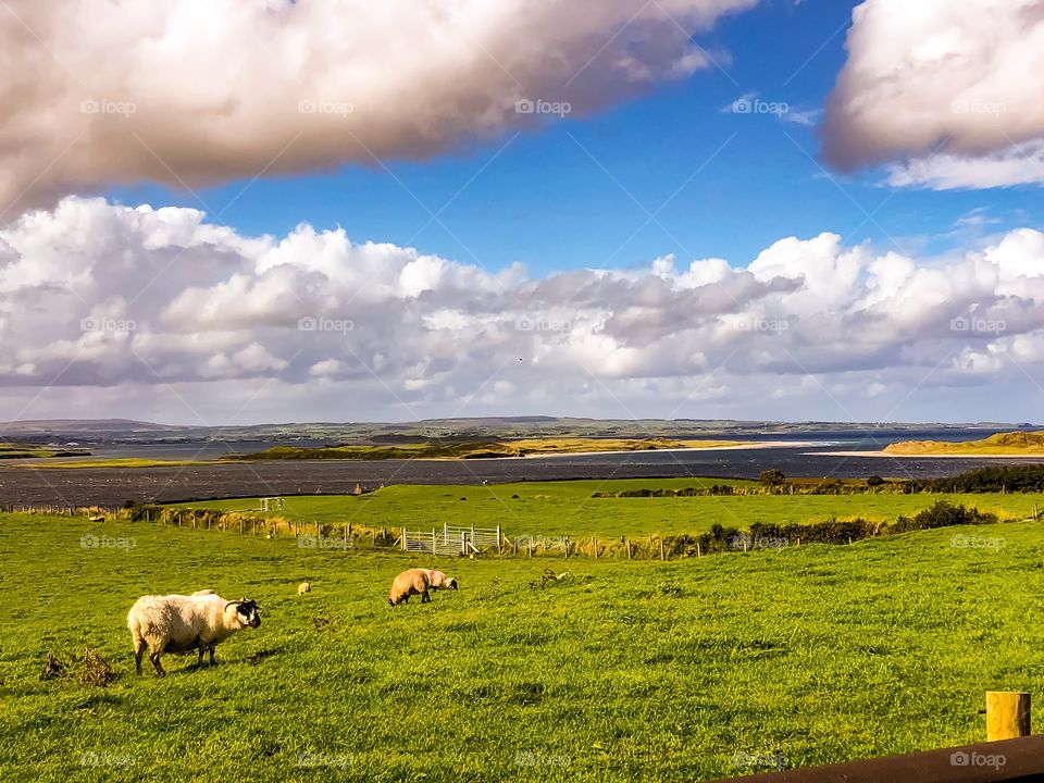 Rural Ireland