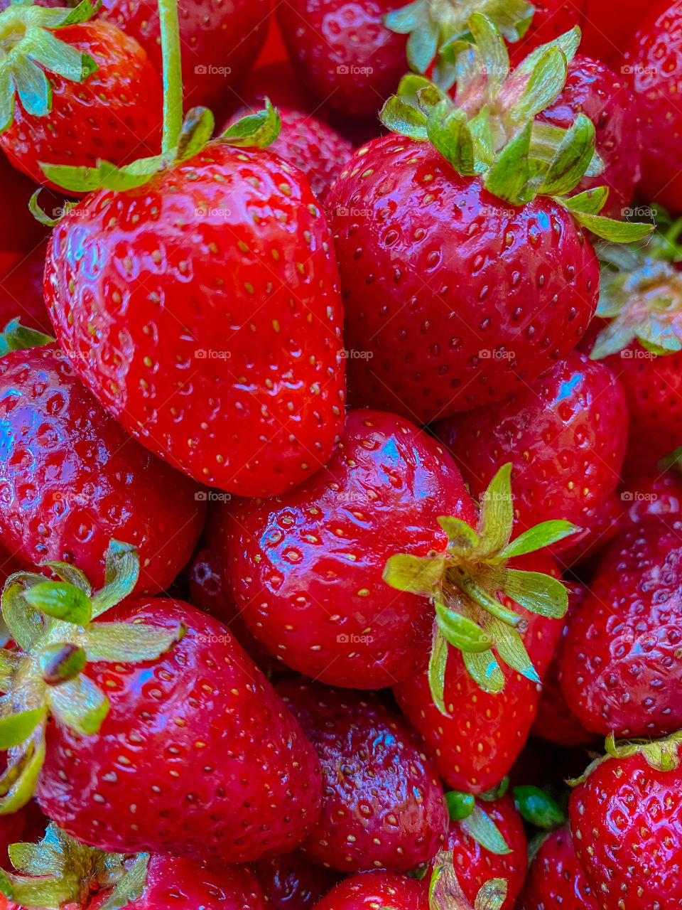 Fresh strawberries 